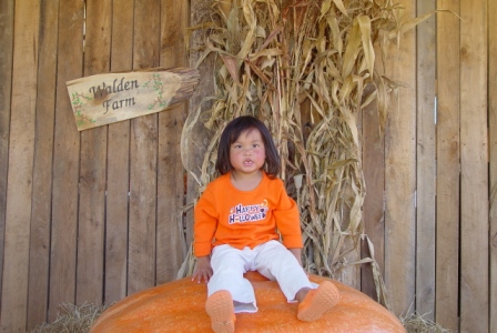 Kasen and the BIG pumpkin